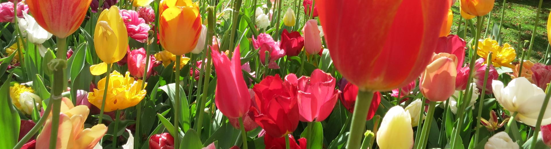 Niederlande Maifahrt 2019