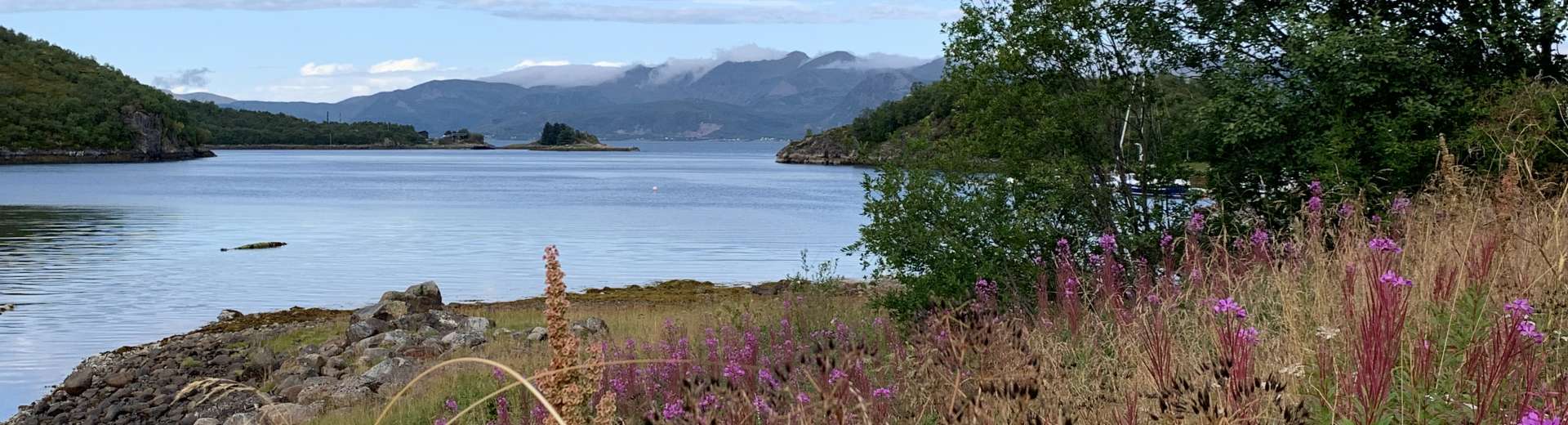 Nordnorwegen mit Lappland & Lofoten 2019