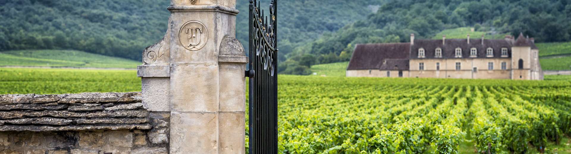 Burgund©shutterstock