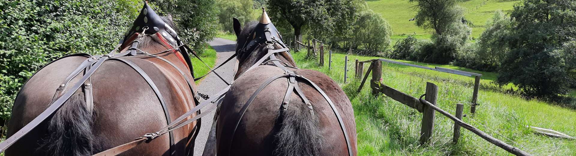 Nordhessen 2021©ADB