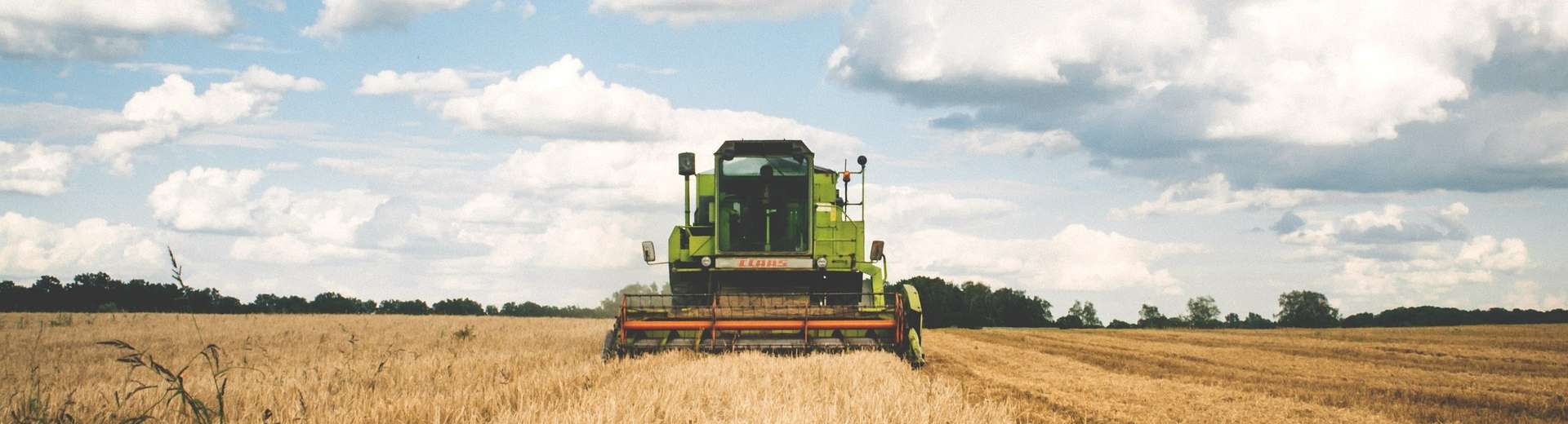 agriculture© pixabay