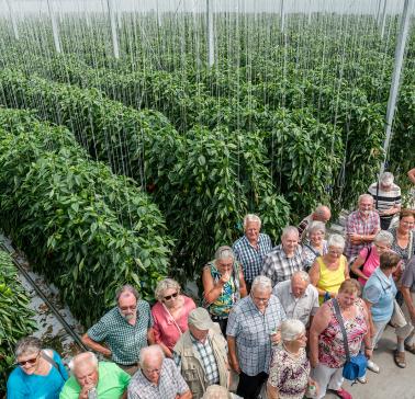 Führung durch den Betrieb