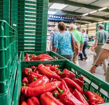 Führung durch den Betrieb