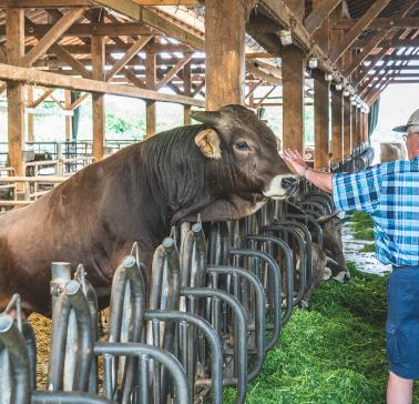 Führung durch den Betrieb