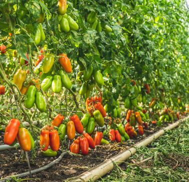 Führung durch den Betrieb