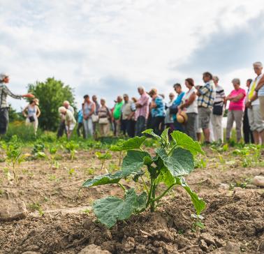 Führung durch den Betrieb