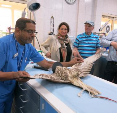 Landausflug auf der AIDA-Dubai-Reise