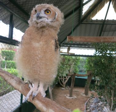 Landausflug auf der AIDA-Dubai-Reise