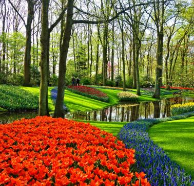 Niederlande Keukenhof