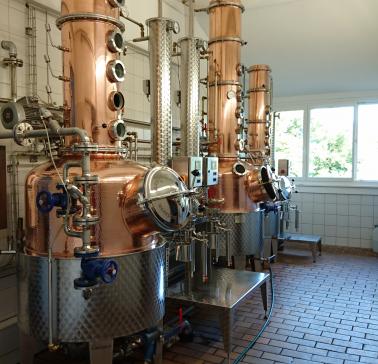  2016-08-01 18.40.33_Copyright@Wirz.jpg 