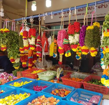 AIDA Südostasien 2019