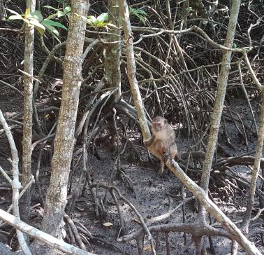 AIDA Südostasien 2019