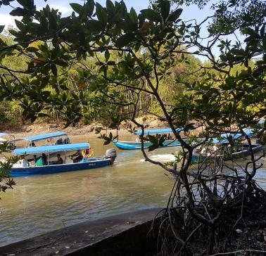 AIDA Südostasien 2019