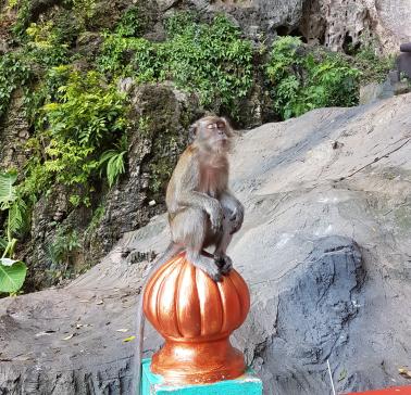 AIDA Südostasien 2019