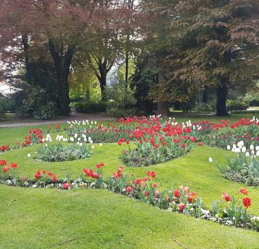 Zillertal Maifahrt 2019