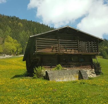 Zillertal Maifahrt 2019