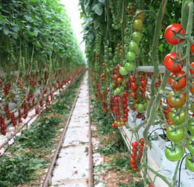 Niederlande Maifahrt 2019