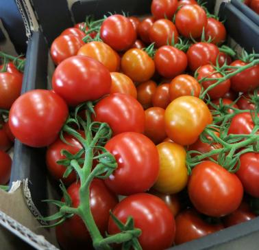 Niederlande Maifahrt 2019