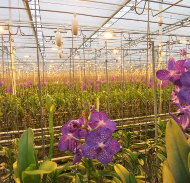 Niederlande Maifahrt 2019