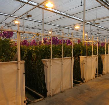 Niederlande Maifahrt 2019