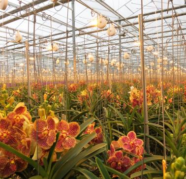 Niederlande Maifahrt 2019