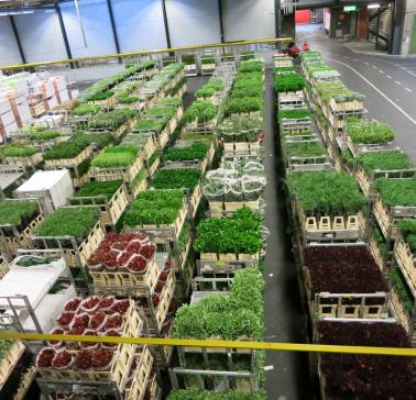 Niederlande Maifahrt 2019