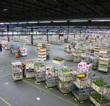 Niederlande Maifahrt 2019