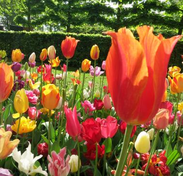 Niederlande Maifahrt 2019