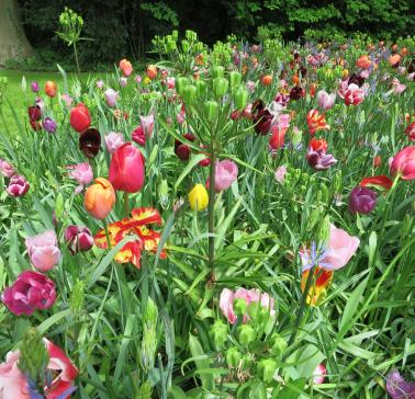 Niederlande Maifahrt 2019