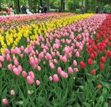 Niederlande Maifahrt 2019