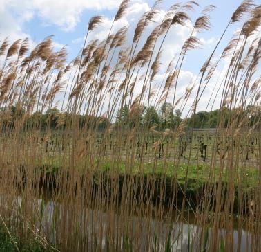 Niederlande Maifahrt 2019