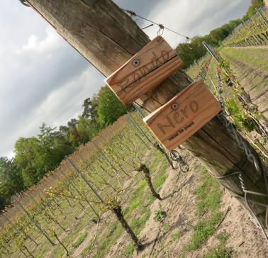 Niederlande Maifahrt 2019