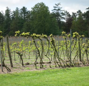 Niederlande Maifahrt 2019