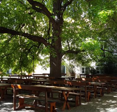 Weinreise Wachau 2019