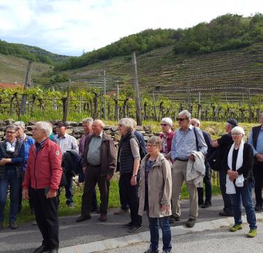 Weinreise Wachau 2019