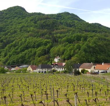 Weinreise Wachau 2019