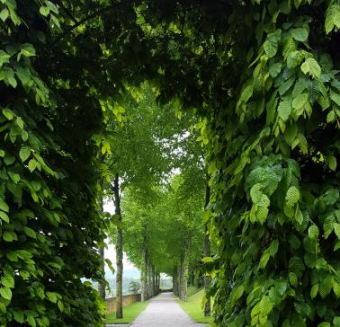 Weinreise Wachau 2019