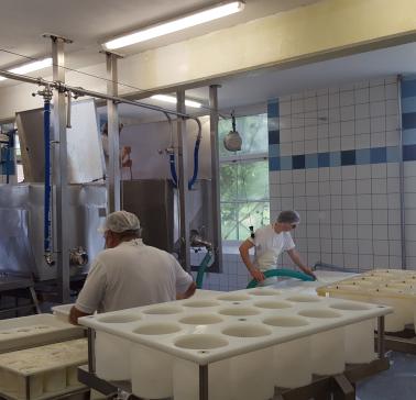 Weinreise Wachau 2019