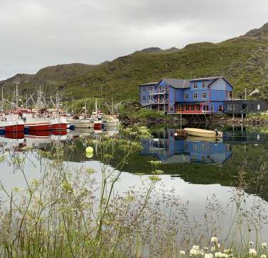 Nordnorwegen mit Lappland & Lofoten 2019
