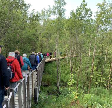 Nordnorwegen mit Lappland & Lofoten 2019