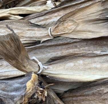 Nordnorwegen mit Lappland & Lofoten 2019