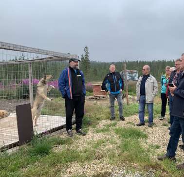 Nordnorwegen mit Lappland & Lofoten 2019