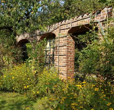 Lüneburger Heide 2019