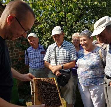 Lüneburger Heide 2019