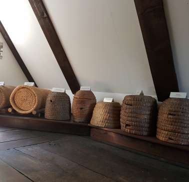 Lüneburger Heide 2019