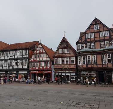 Lüneburger Heide 2019