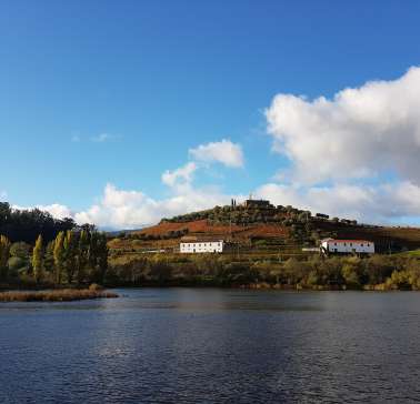 Douro 2019