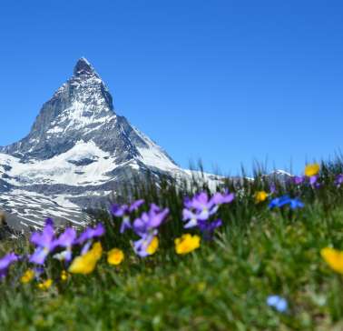 matterhorn©Pixabay.jpg