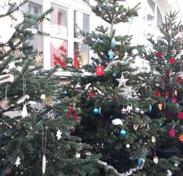 Bayerischer Wald 2019