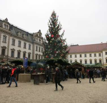 Bayerischer Wald 2019